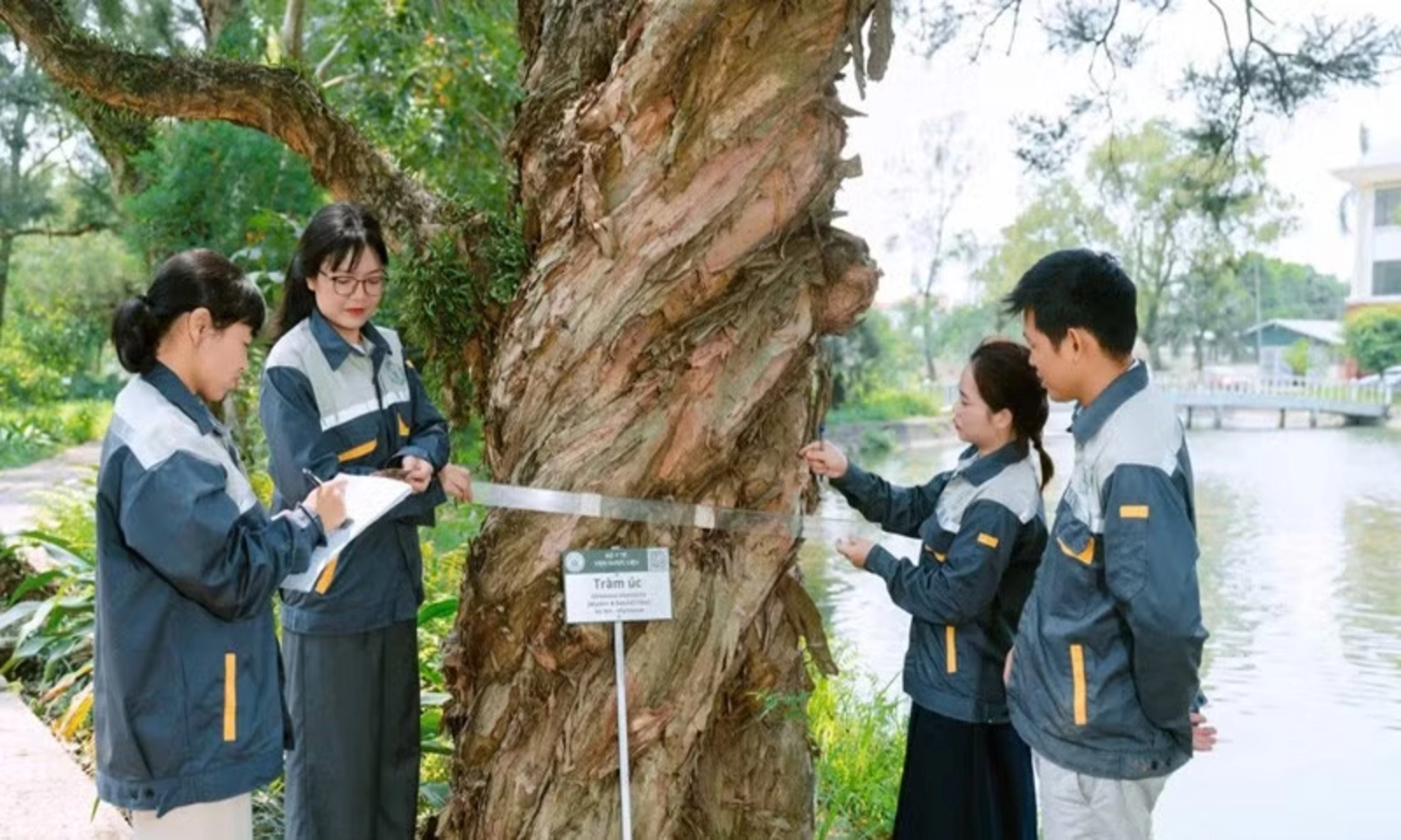 Công nghệ nâng tầm dược liệu Việt: bảo tồn, hiện đại hóa và phát triển bền vững