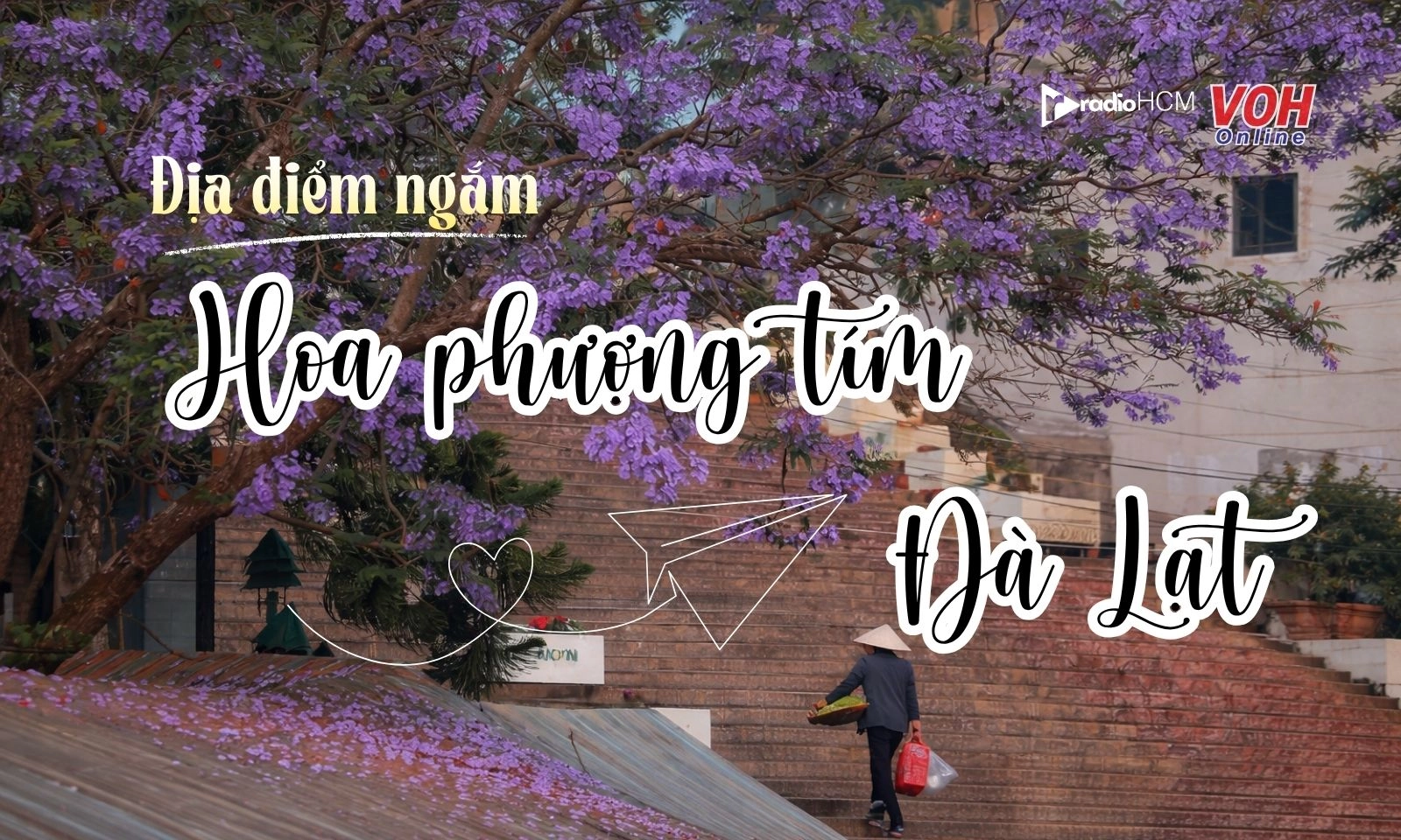 Top 7 địa điểm ngắm hoa phượng tím Đà Lạt đẹp nhất năm 2026