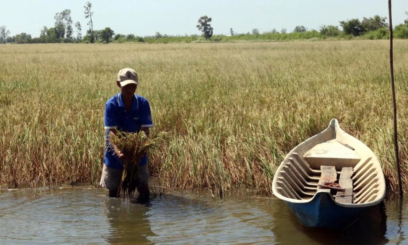 Nắng nóng gay gắt diện rộng, xâm nhập mặn tại Nam Bộ diễn biến phức tạp