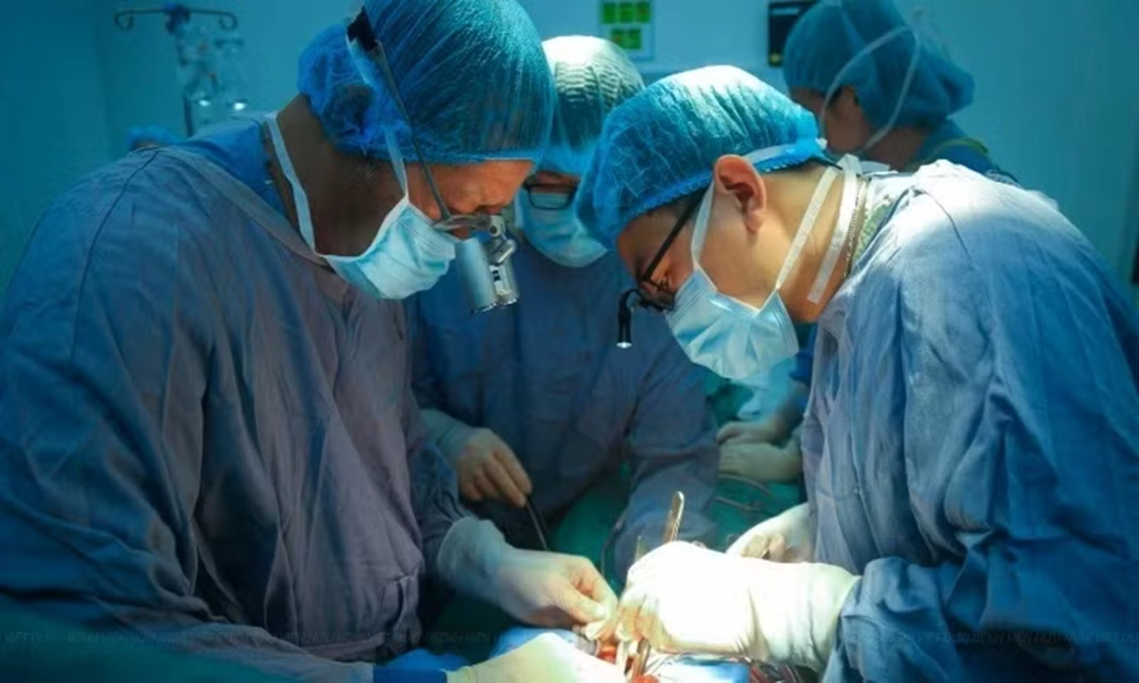 Phạt tới 100 triệu đồng nếu ép buộc hiến mô, tạng