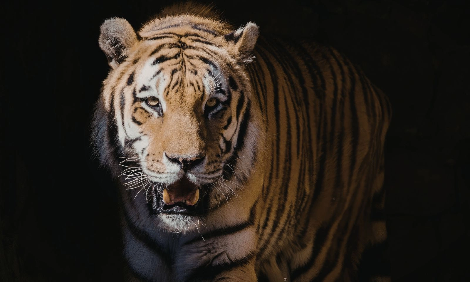 Mùa hè 2026: 3 con giáp trúng tiếng sét ái tình, vận đào hoa nở rộ