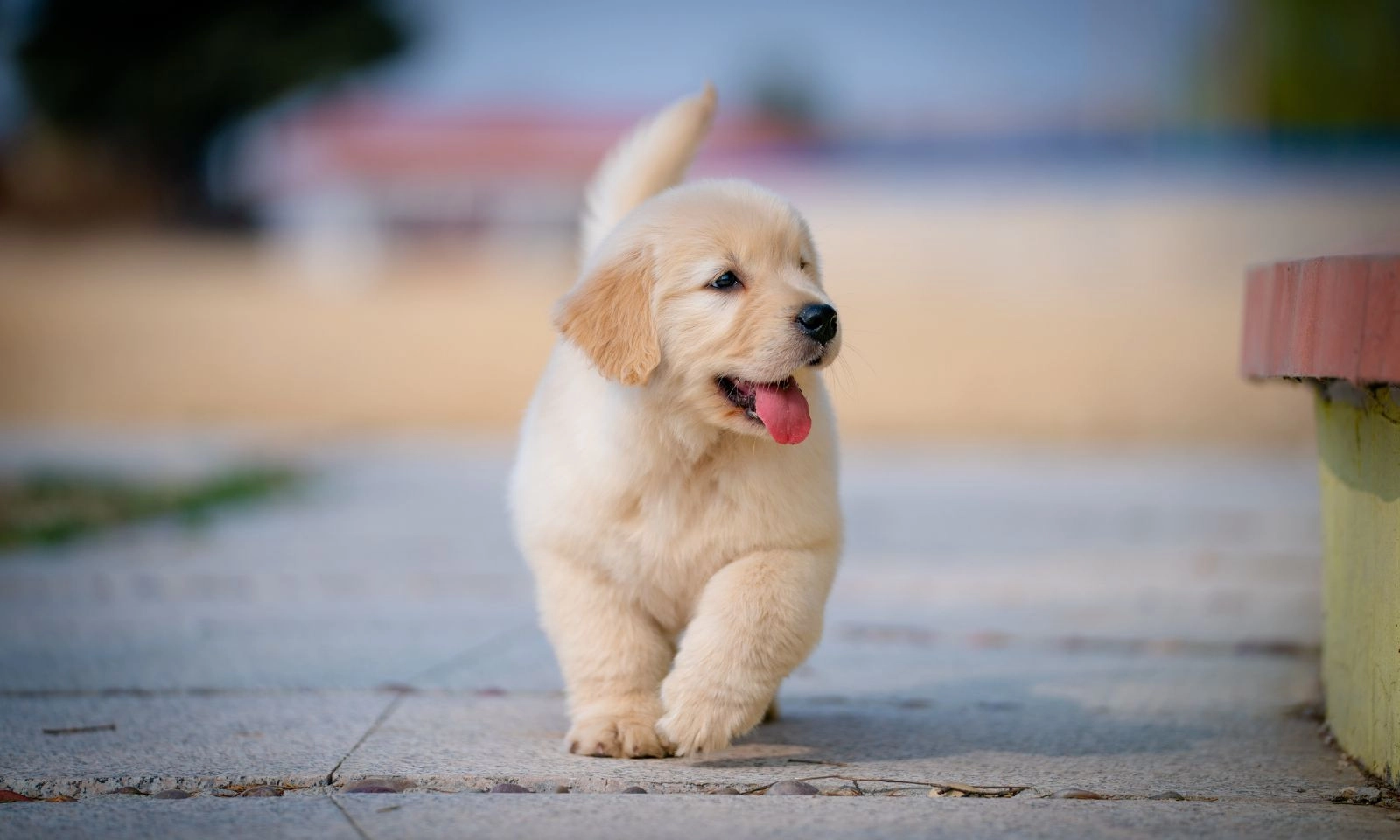 4 con giáp có lộc đất đai từ nay đến cuối năm 2026