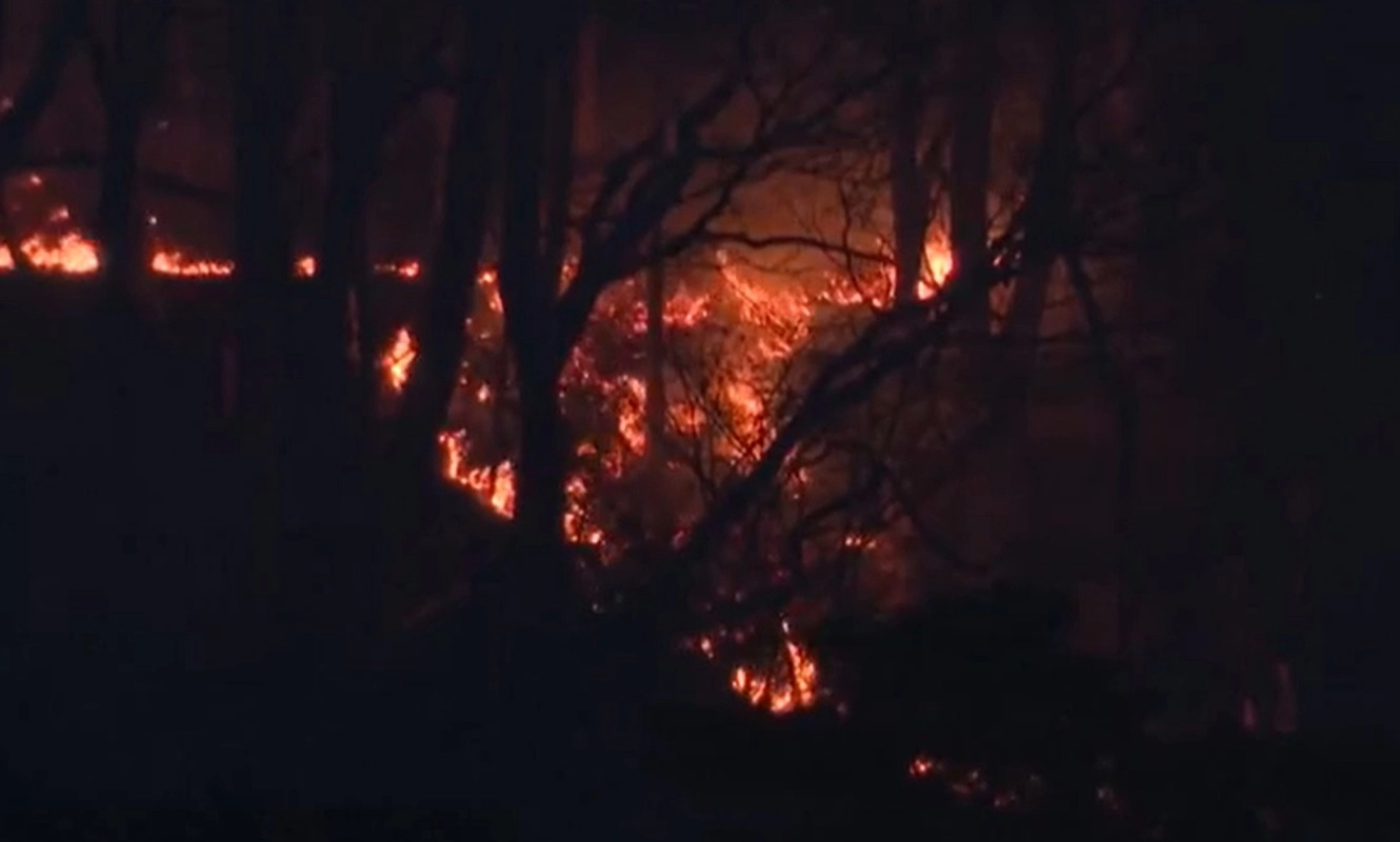 Cháy rừng tại Iwate, hàng ngàn người Nhật sơ tán khẩn