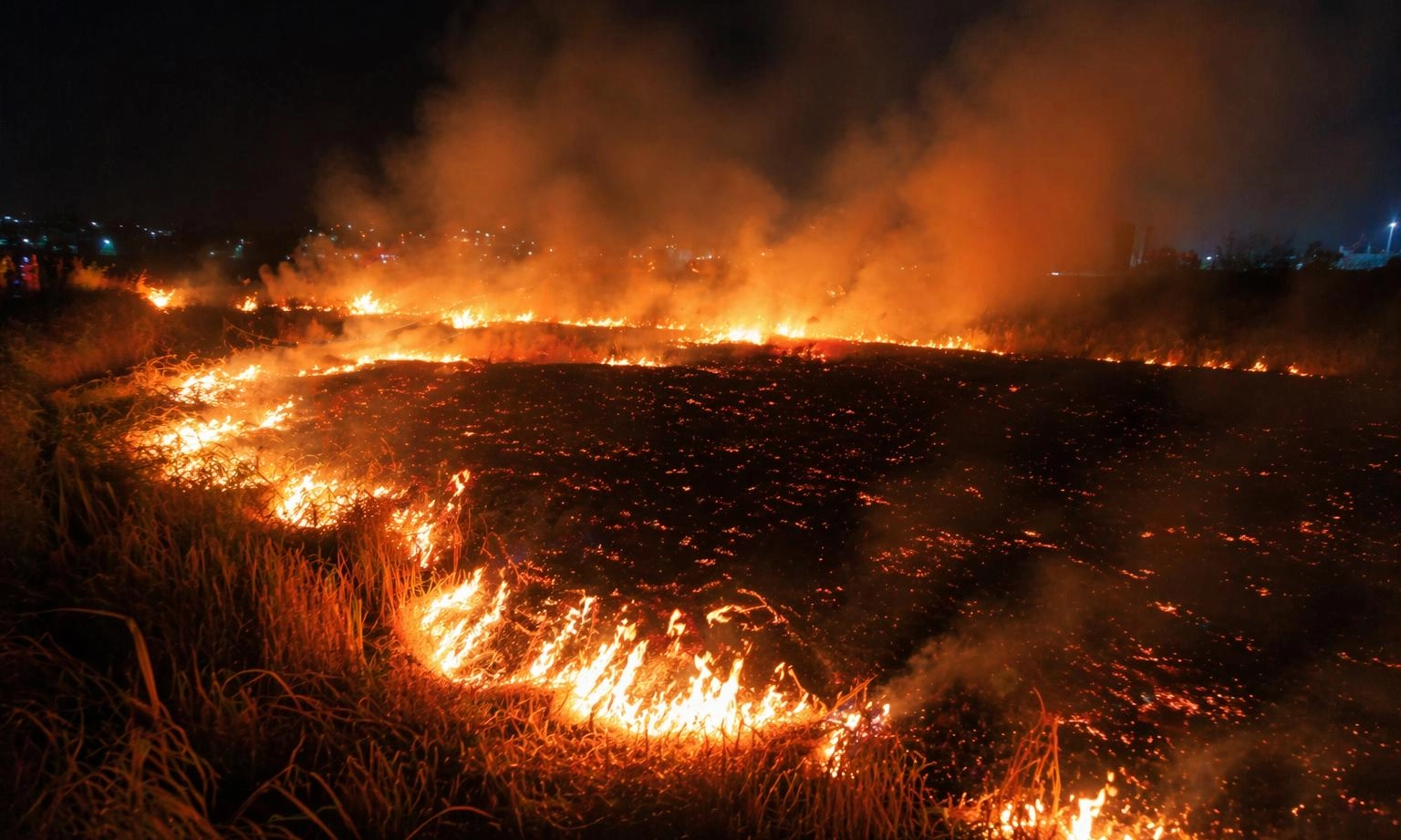 Tàn thuốc nhỏ, hậu quả lớn: Cháy lan 5.000 m² cỏ ven Quốc lộ N2 trong đêm