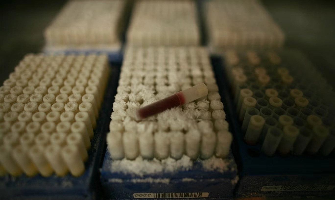 500.000 hồ sơ y tế người Anh bị rao bán, lộ lỗ hổng kiểm soát dữ liệu nghiên cứu