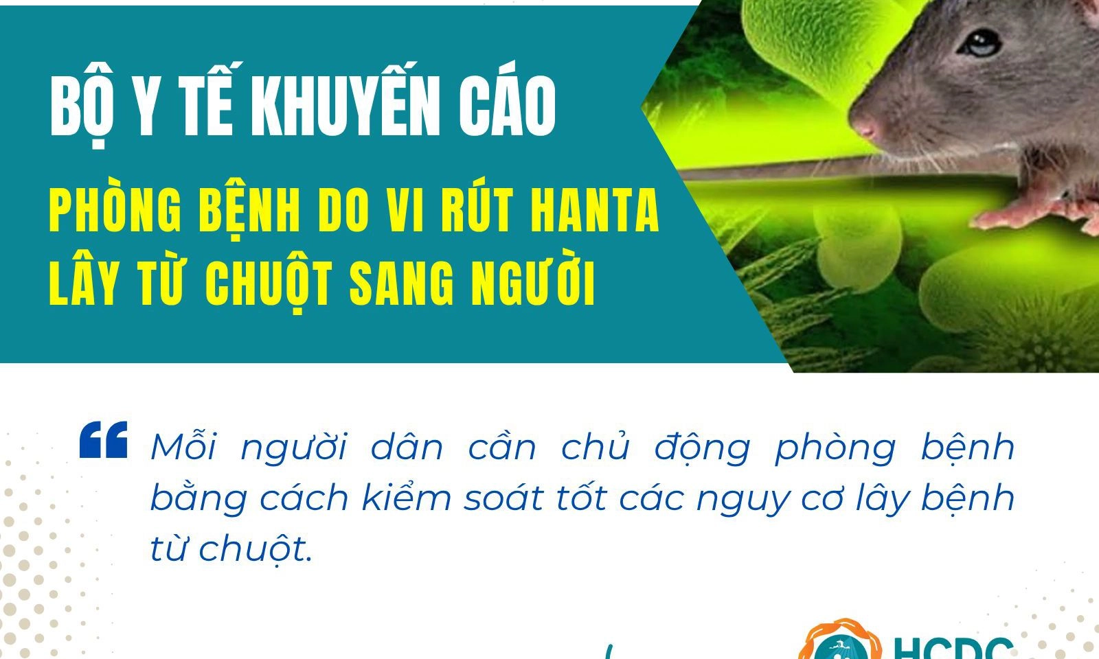 Việt Nam chưa ghi nhận trường hợp mắc bệnh do virus Hanta trên người