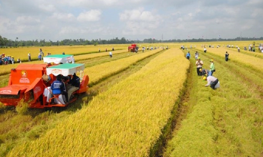 Những đối tượng được miễn thuế sử dụng toàn bộ đất nông nghiệp năm 2026
