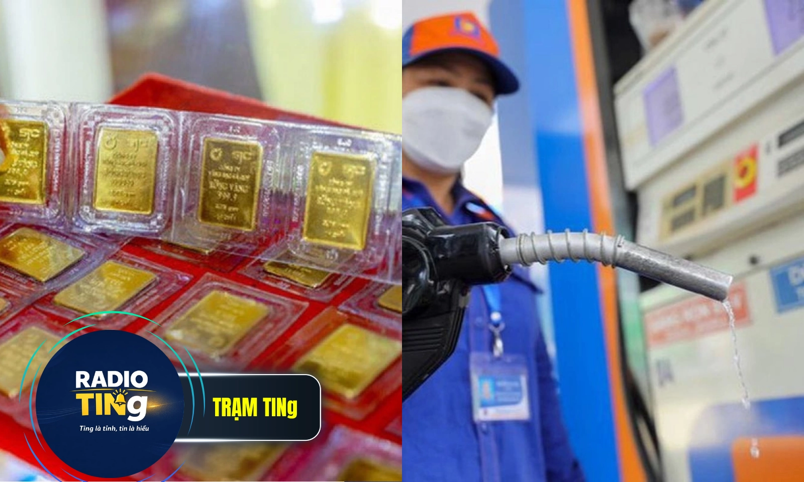 Điểm tin trưa 8/5: Giá vàng trong nước đi ngang | Giá xăng E5 RON92 tăng hơn 1.000 đồng/lít