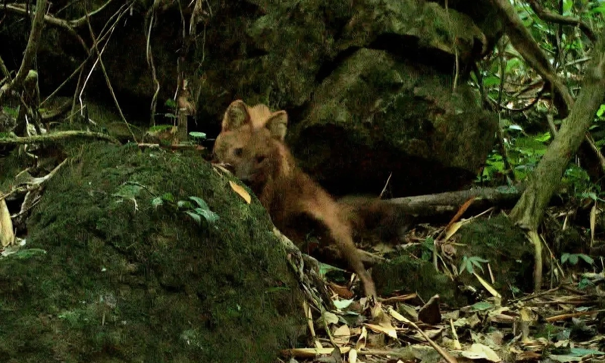 Article thumbnail