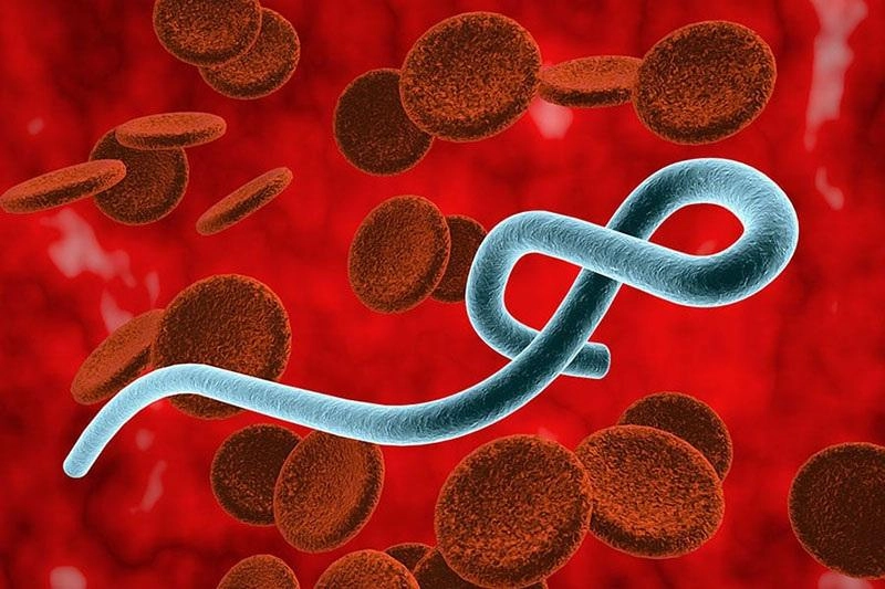 Khuyến cáo mới nhất của Bộ Y tế về dịch bệnh nguy hiểm Ebola