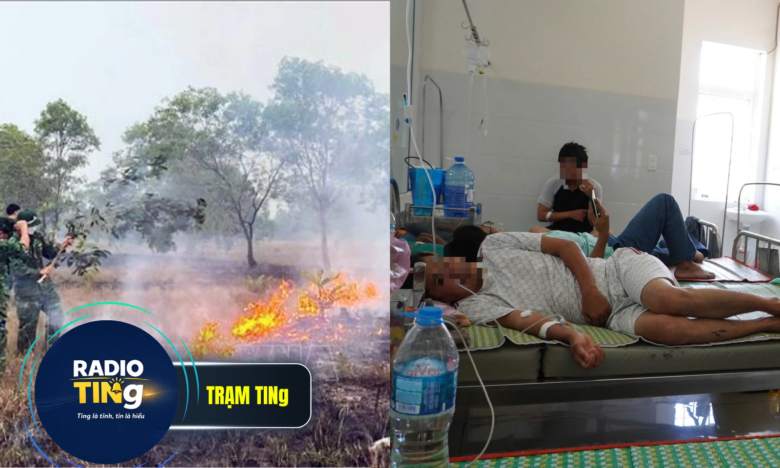 Điểm tin chiều 25/5: Nhiều nơi báo động cháy rừng cực kỳ nguy hiểm | 39 người nghi ngộ độc bánh mì