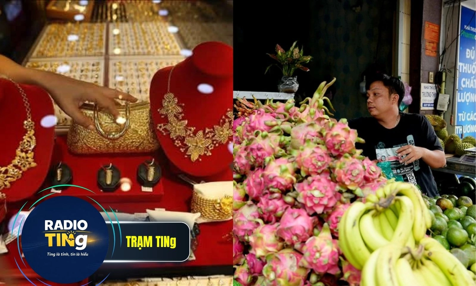 Điểm tin trưa 26/5: Giá vàng lùi về 161,5 triệu đồng | Nhiều loại trái cây rẻ, nhà vườn khóc ròng