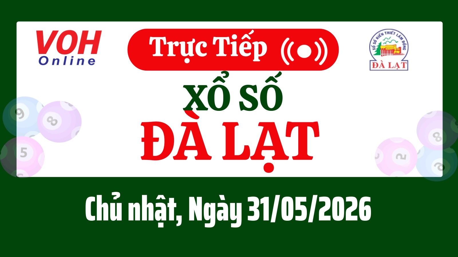 XSDL 31/5 - Kết quả xổ số Đà Lạt hôm nay chủ nhật ngày 31/5/2026