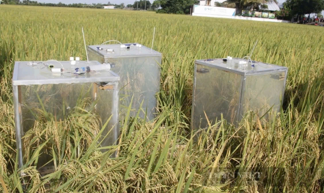 Phát động cuộc thi khởi nghiệp đổi mới sáng tạo nông nghiệp công nghệ cao