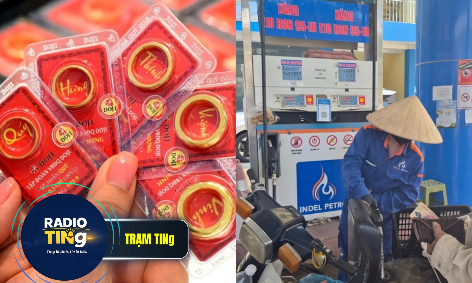Điểm tin trưa 1/6: Giá vàng đi ngang | Ra mắt chatbot hỏi đáp về xăng sinh học E10