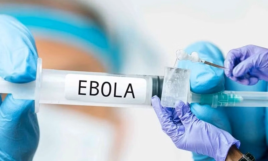 Vì sao Ebola thường bị nhầm với sốt xuất huyết và cúm?