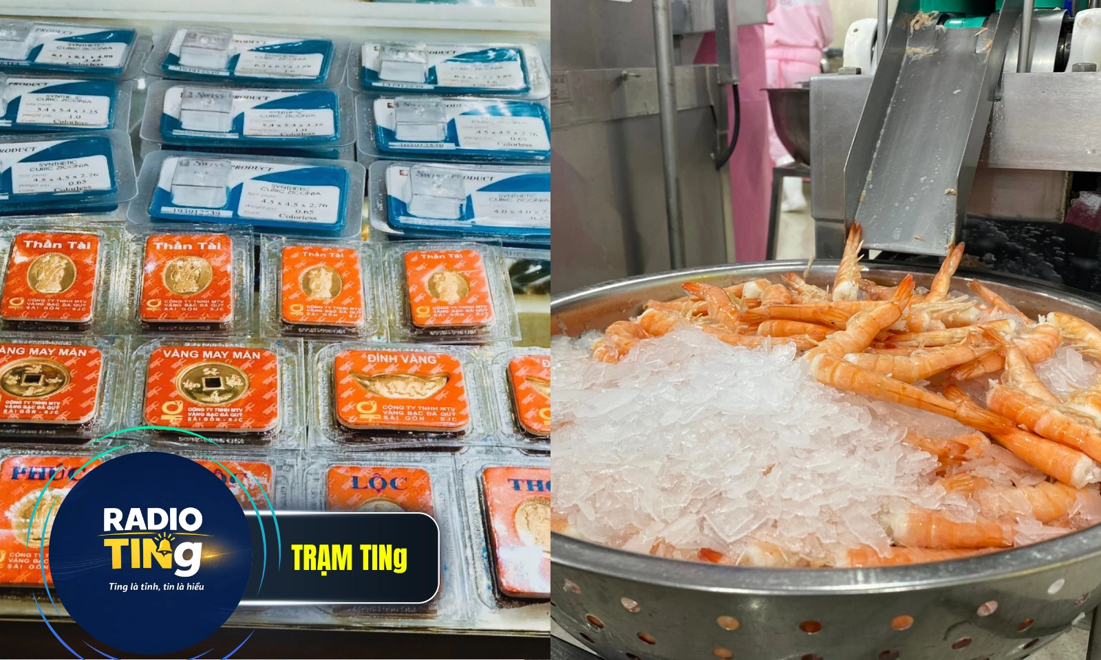 Điểm tin trưa 11/6: Vàng SCJ giảm thêm 2,3 triệu đồng/lượng | Giá tôm thẻ miền Tây giảm mạnh