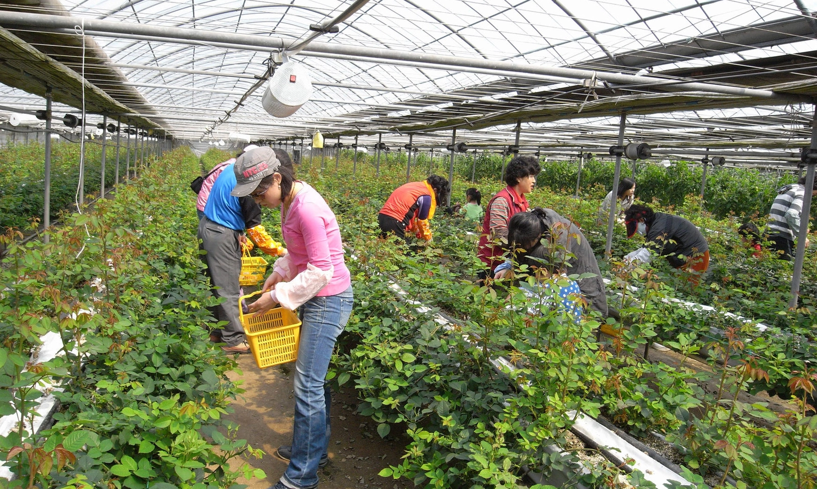 Úc tăng lương tối thiểu gần 6%