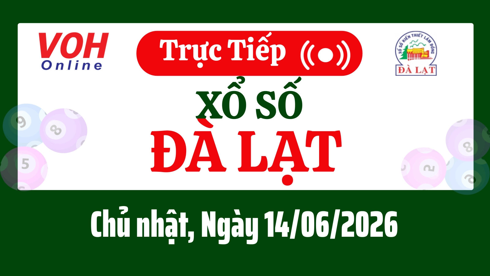 XSDL 14/6 - Kết quả xổ số Đà Lạt hôm nay chủ nhật ngày 14/6/2026