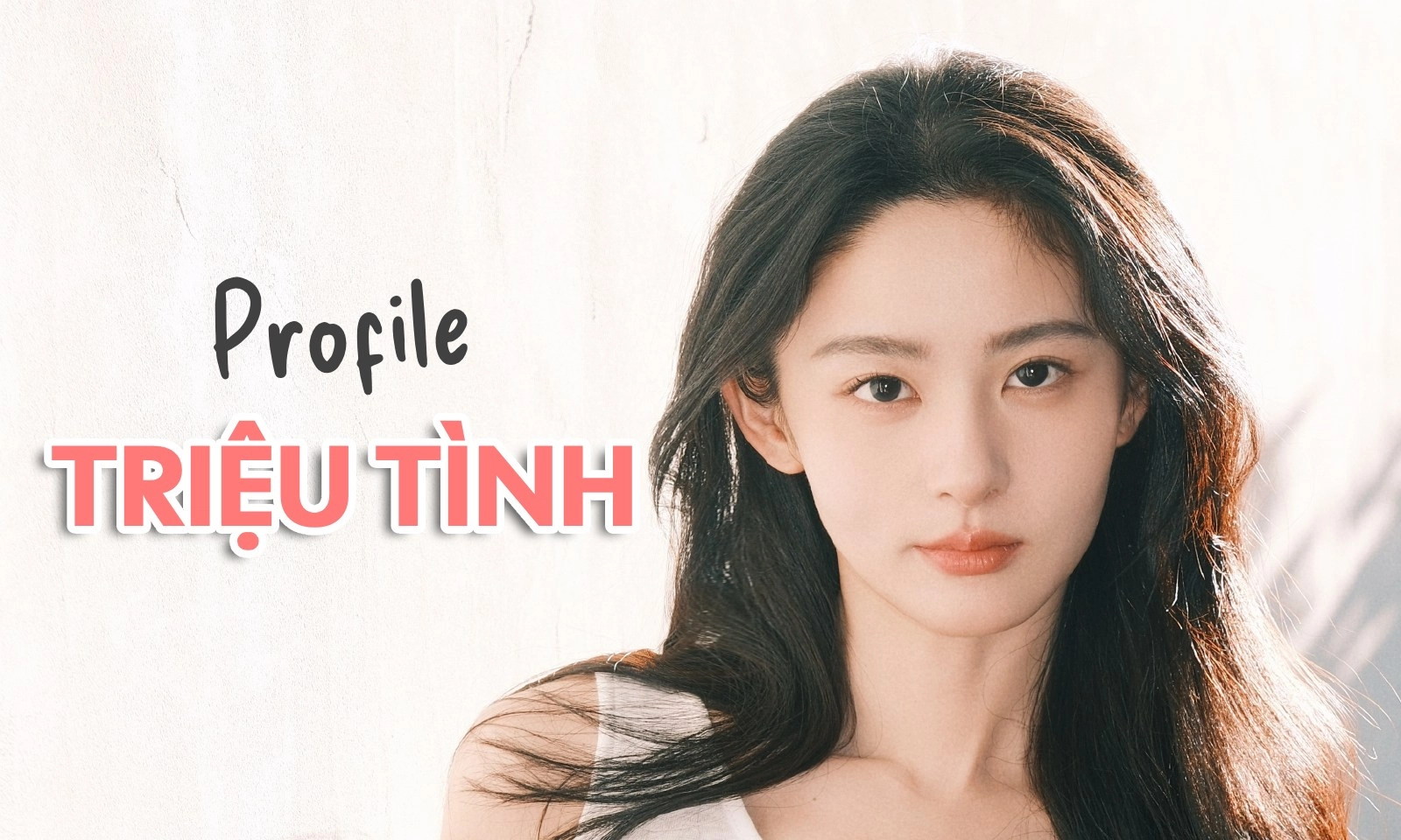 Profile Triệu Tình: từ mẫu ảnh cổ phong đến nàng thơ mới của Vu Chính