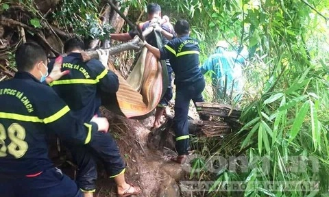 Đã tìm thấy thi thể 3 thanh niên tử vong ở thác nước tại Gia Lai