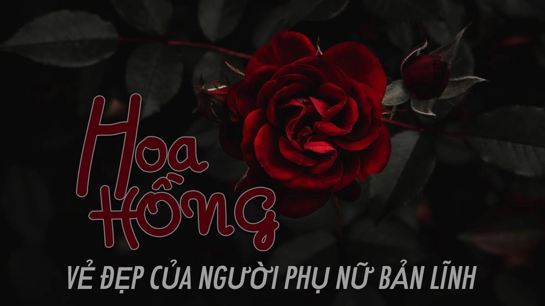 60 câu nói hay về hoa hồng, stt về hoa hồng tình yêu ý nghĩa