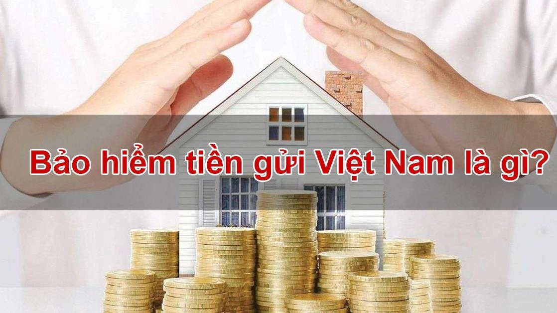Bảo hiểm tiền gửi là gì và những hoạt động bảo hiểm tiền gửi Việt Nam?