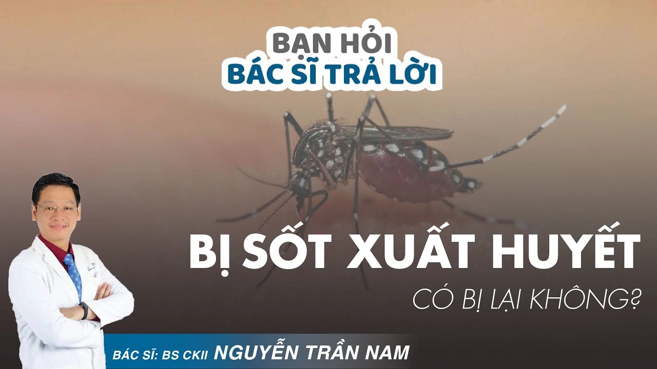 Liệu sốt xuất huyết có bị lại không khi đã từng mắc bệnh? - Bé Khỏe Nhà Vui
