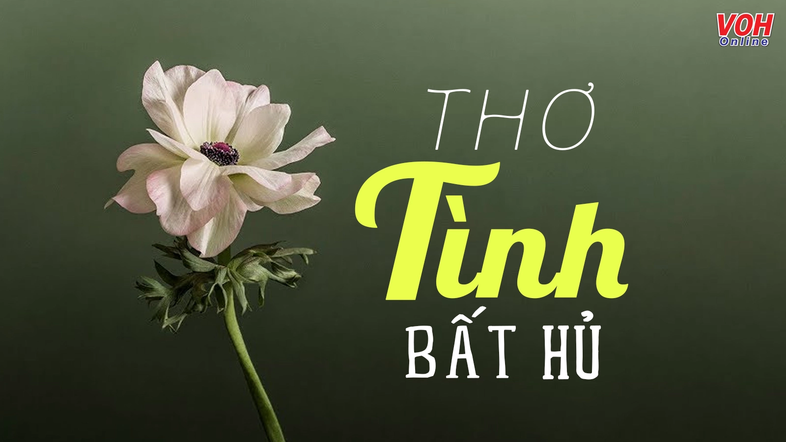 25 bài thơ tình bất hủ Việt Nam, những áng thơ tình yêu bất diệt