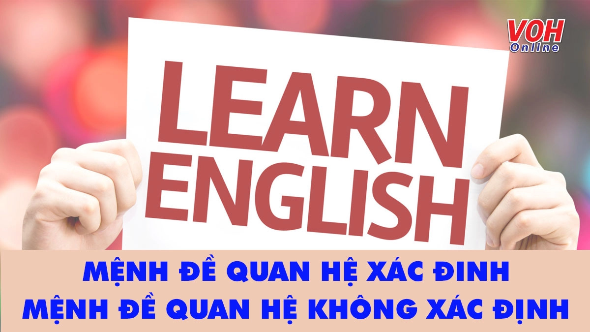 Kiến thức mệnh đề quan hệ xác định và mệnh đề quan hệ không xác định