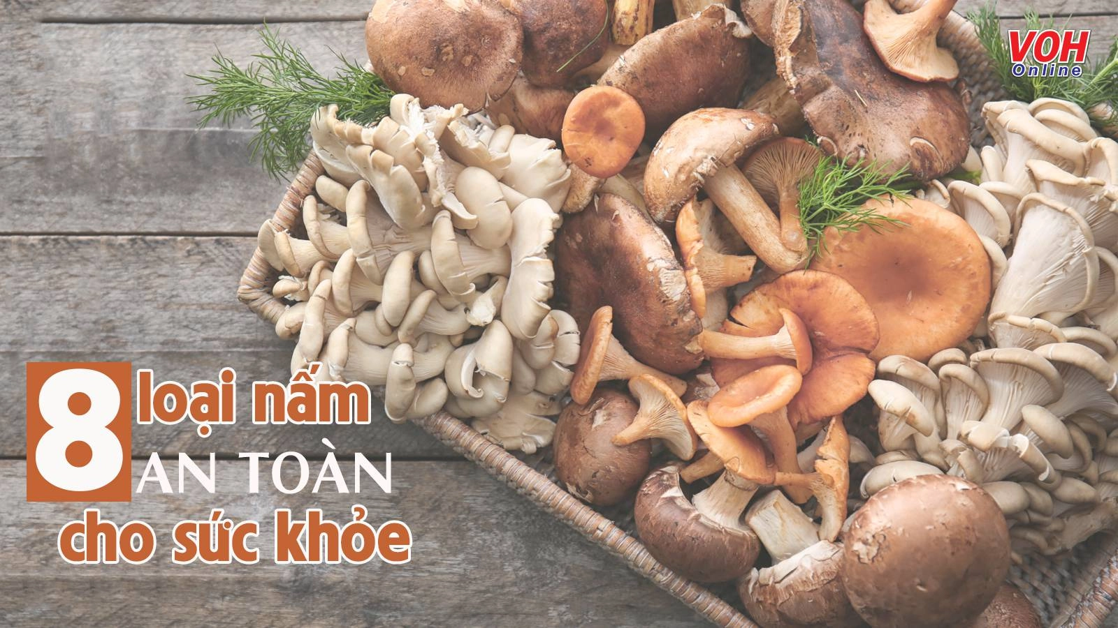 Tìm hiểu các loại nấm ăn được, thơm ngon và tốt cho sức khỏe