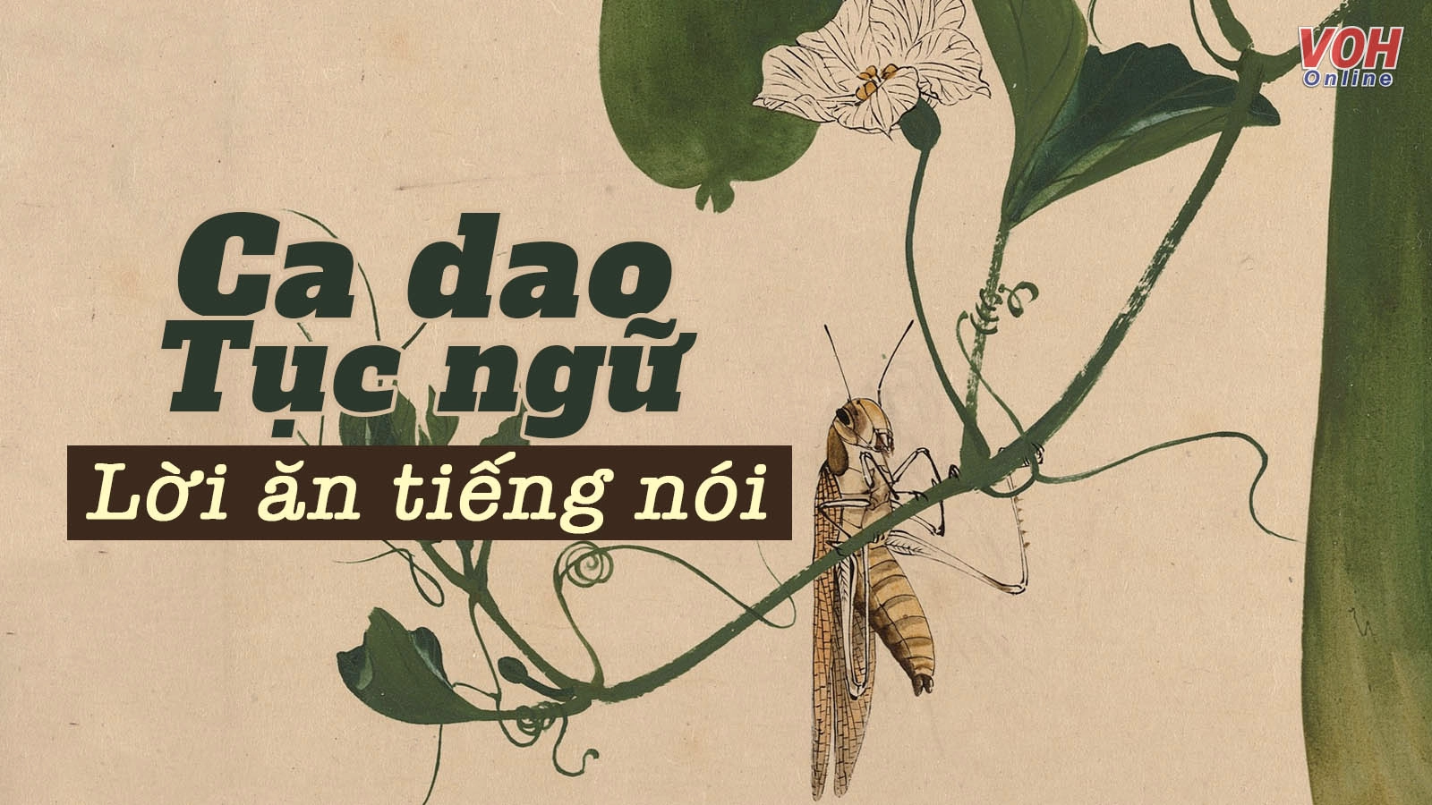 40+ câu ca dao, tục ngữ, thành ngữ về lời nói, cách ứng xử