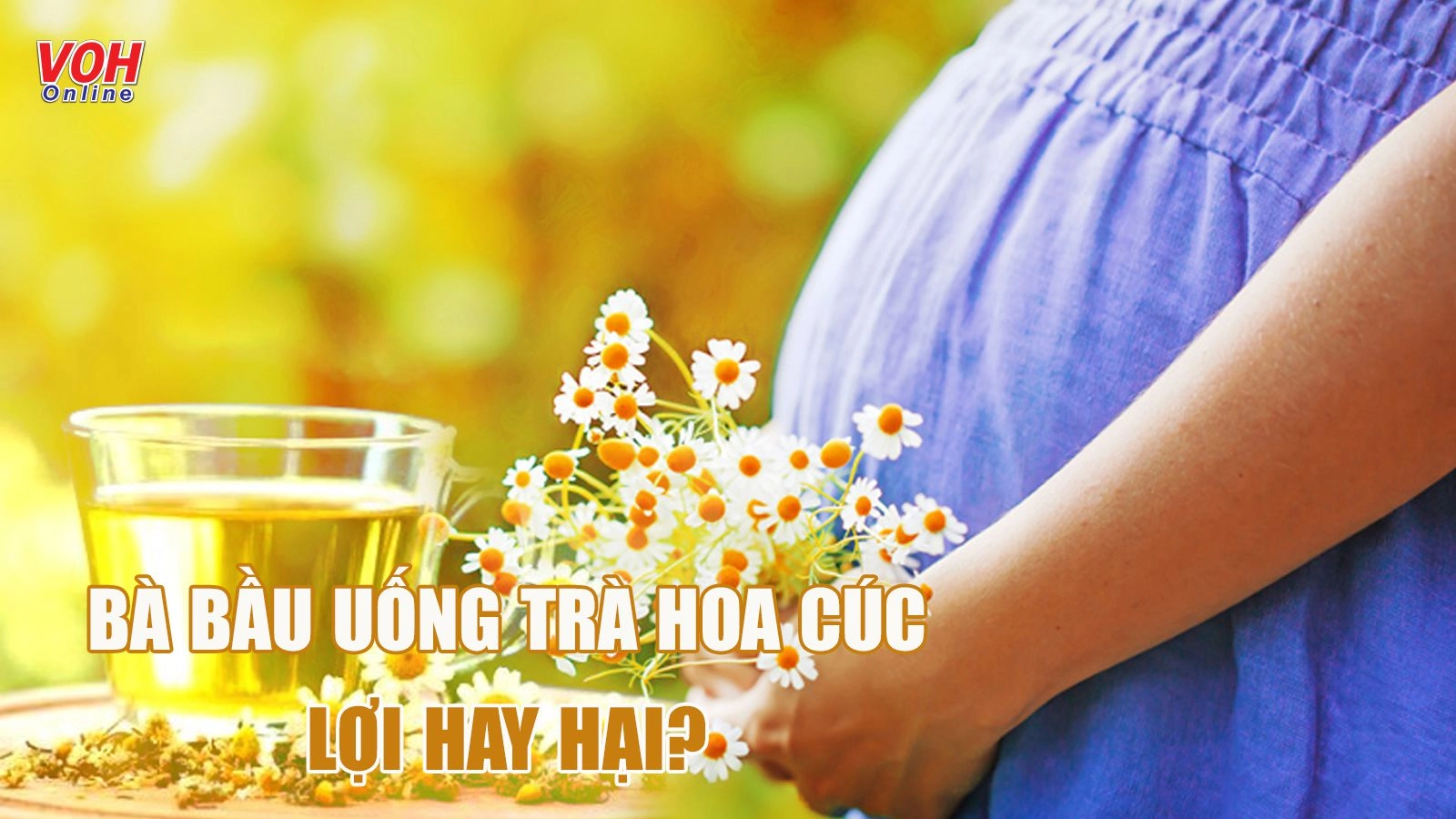 Bà bầu uống trà hoa cúc được không và 6 giải đáp được tiết lộ