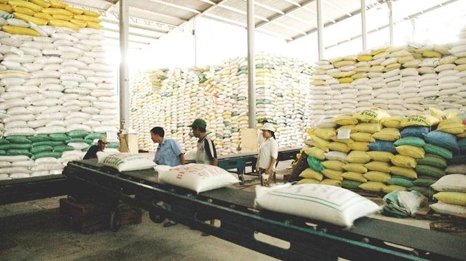 Giá gạo xuất khẩu giữ mức cao