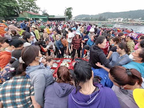 Hướng về miền Trung yêu thương (P2) - Nhộn nhịp Bến cá Cửa Lò