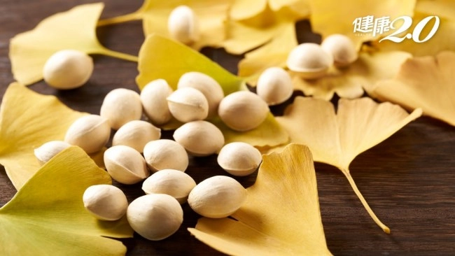 Bạch quả giảm ho và tiêu đờm