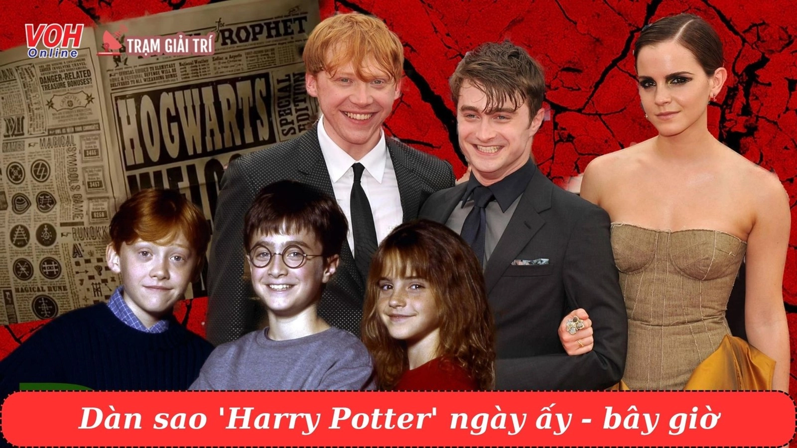 Dàn diễn viên phim Harry Potter ngày ấy và bây giờ