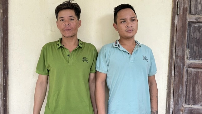 Quảng Nam: Bắt 2 đối tượng trộm hàng trăm gốc sâm Ngọc Linh