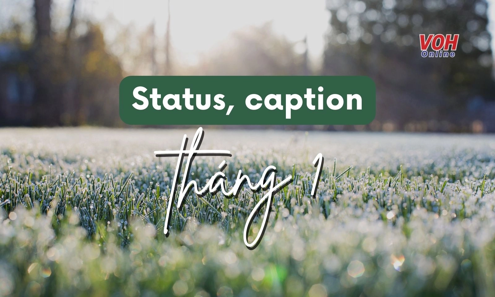 Tổng hợp status chào tháng 1, chúc tháng 1 bình an, may mắn