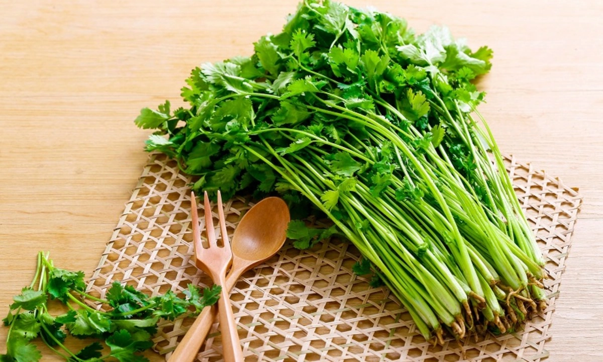 5 cách sử dụng rau mùi làm đẹp da, tóc