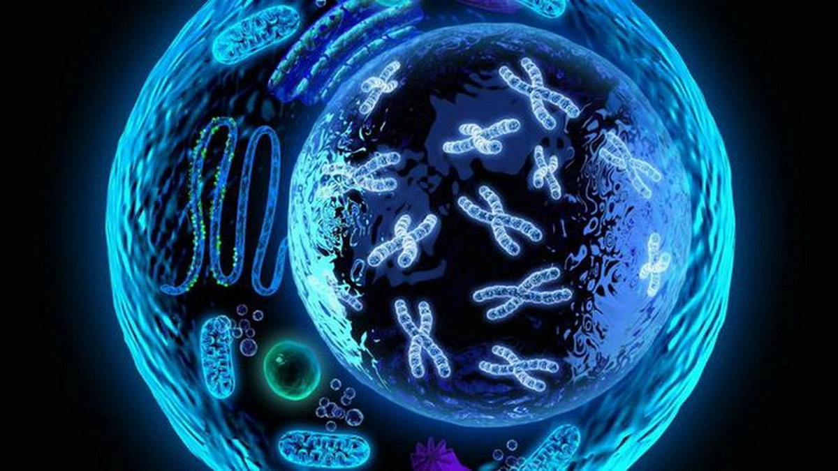 Những nghiên cứu khoa học góp phần nâng cao chất lượng sống cho con người